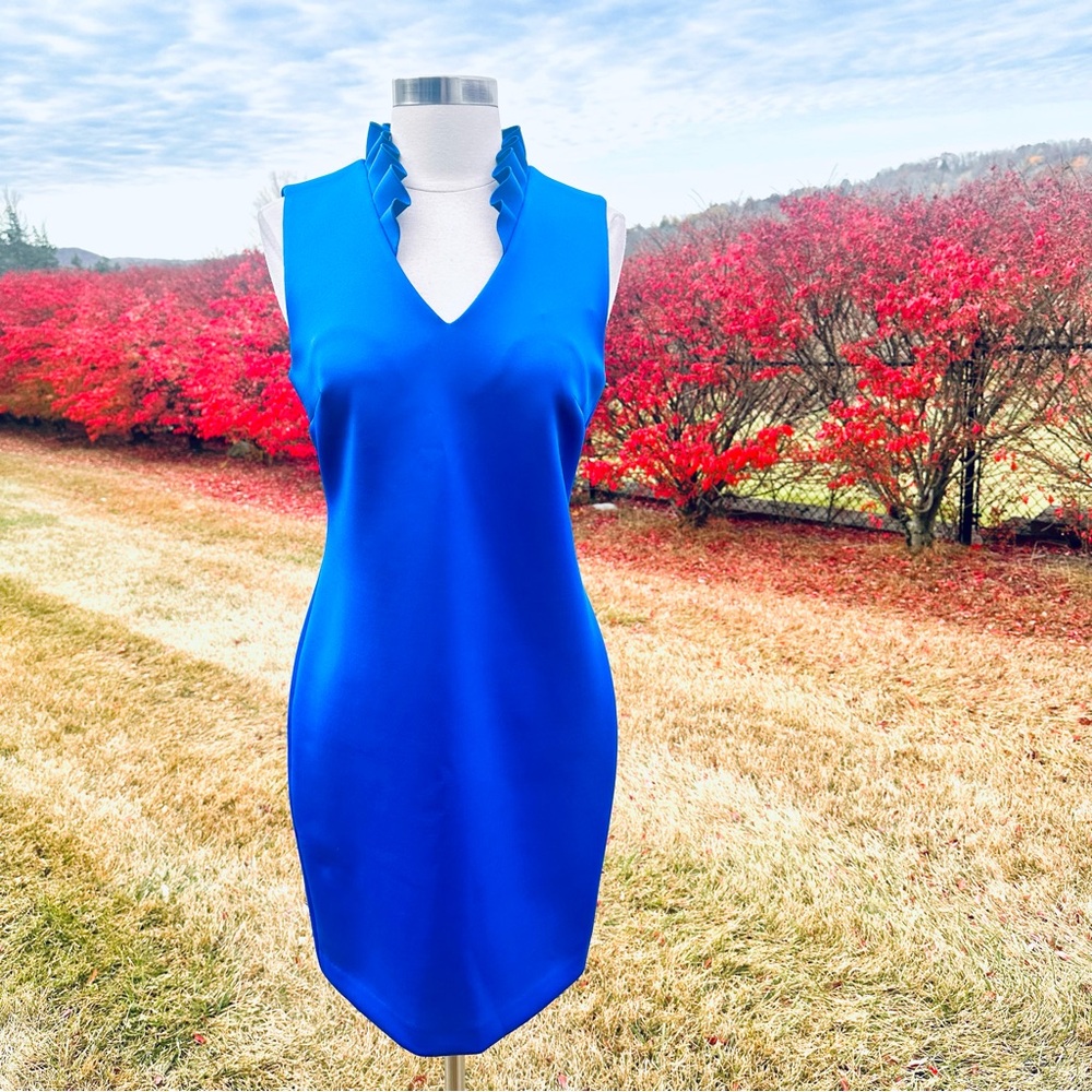 Calvin Klein Sleeveless Ruffle Neck Sheath Dress
